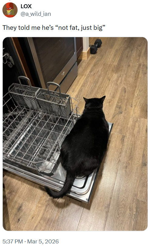 5:37 PM · Mar 5, 2026 e LOX @a_wild_ian They told me he's "not fat, just big"