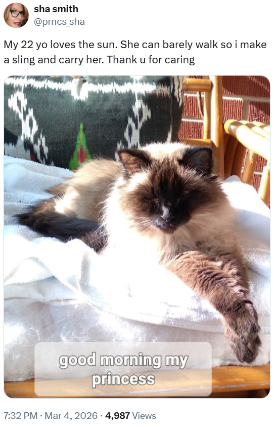 sha smith @prncs_sha My 22 yo loves the sun. She can barely walk so i make a sling and carry her. Thank u for caring good morning my princess 7:32 PM · Mar 4, 2026 4,987 Views