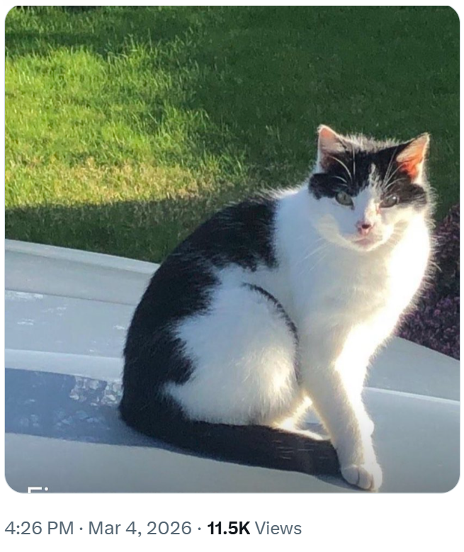 . 4:26 PM · Mar 4, 2026 11.5K Views •