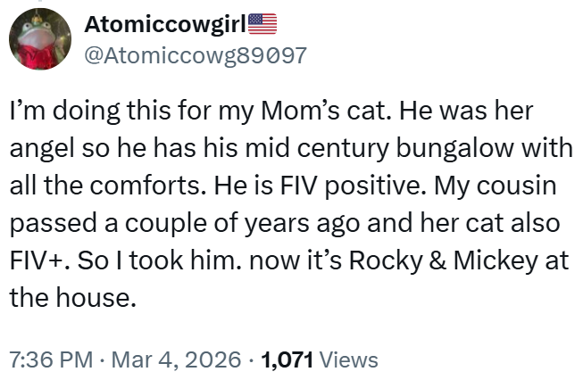 Atomiccowgirl @Atomiccowg89097 I'm doing this for my Mom's cat. He was her angel so he has his mid century bungalow with all the comforts. He is FIV positive. My cousin passed a couple of years ago and her cat also FIV+. So I took him. now it's Rocky & Mickey at the house. 7:36 PM · Mar 4, 2026 1,071 Views