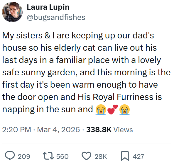 Laura Lupin @bugsandfishes My sisters & I are keeping up our dad's house so his elderly cat can live out his last days in a familiar place with a lovely safe sunny garden, and this morning is the first day it's been warm enough to have the door open and His Royal Furriness is napping in the sun and 2:20 PM Mar 4, 2026 338.8K Views > 209 17560 28K 427