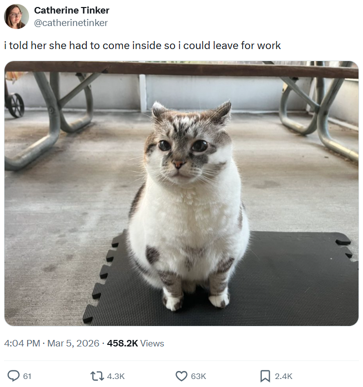 Catherine Tinker @catherinetinker i told her she had to come inside so i could leave for work 4:04 PM · Mar 5, 2026 - 458.2K Views • 61 4.3K 63K 2.4K