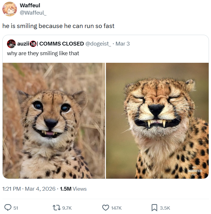 Waffeul @Waffeul_ he is smiling because he can run so fast auzii 18| COMMS CLOSED @dogeist_ • Mar 3 why are they smiling like that 1:21 PM - Mar 4, 2026 1.5M Views 51 19.7K 147K 3.5K SAEDGRAFICSS
