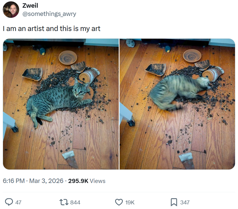 Zweil @somethings_awry I am an artist and this is my art 6:16 PM · Mar 3, 2026 295.9K Views 47 844 19K ☐ 347