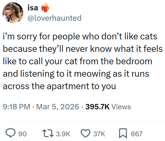isa @loverhaunted i'm sorry for people who don't like cats because they'll never know what it feels like to call your cat from the bedroom and listening to it meowing as it runs across the apartment to you 9:18 PM · Mar 5, 2026 395.7K Views 90 13.9K 37K ☐ 667