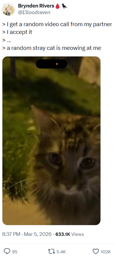 Brynden Rivers @I3loodraven > I get a random video call from my partner > I accept it > ... > a random stray cat is meowing at me 8:37 PM - Mar 5, 2026 - 633.1K Views 95 15.4K 102K