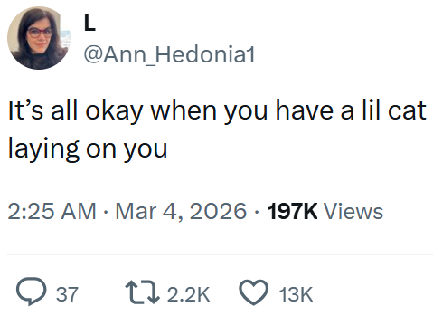 L @Ann_Hedonia1 It's all okay when you have a lil cat laying on you 2:25 AM · Mar 4, 2026 197K Views → 37 12.2K 13K