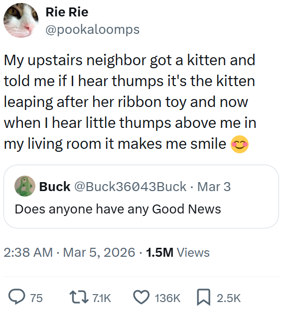 Rie Rie @pookaloomps My upstairs neighbor got a kitten and told me if I hear thumps it's the kitten leaping after her ribbon toy and now when I hear little thumps above me in my living room it makes me smile Buck @Buck36043Buck · Mar 3 Does anyone have any Good News 2:38 AM · Mar 5, 2026 1.5M Views 75 17.1K 136K 2.5K
