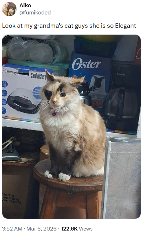 Aiko @fumikoded Look at my grandma's cat guys she is so Elegant Oster SLEWOO Westingho Sandwichera bierno ivariano Venezuela recubre 3:52 AM · Mar 6, 2026 122.6K Views