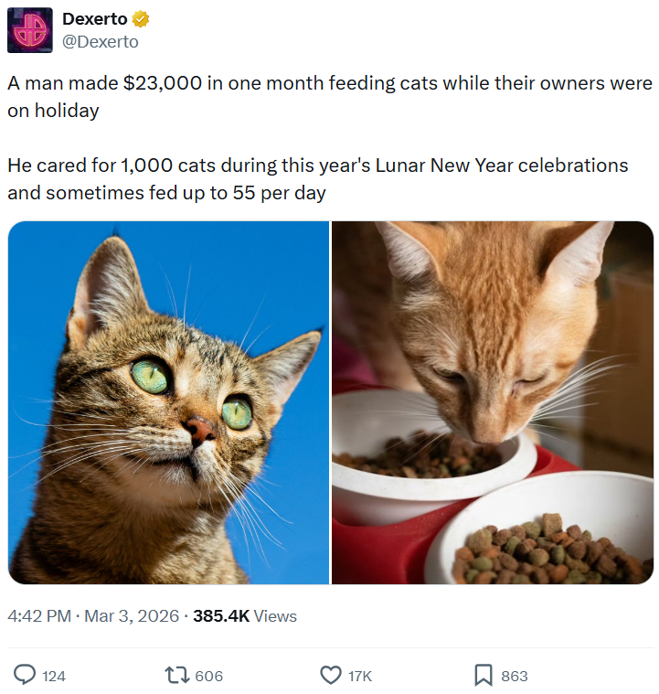 Dexerto @Dexerto A man made $23,000 in one month feeding cats while their owners were on holiday He cared for 1,000 cats during this year's Lunar New Year celebrations and sometimes fed up to 55 per day 4:42 PM · Mar 3, 2026 385.4K Views 124 17 606 17K 863