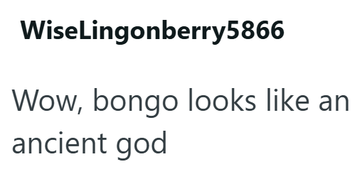 WiseLingonberry5866 Wow, bongo looks like an ancient god