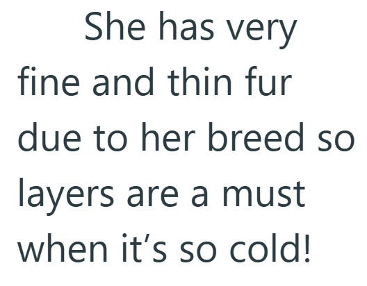 She has very fine and thin fur due to her breed so layers are a must when it's so cold!