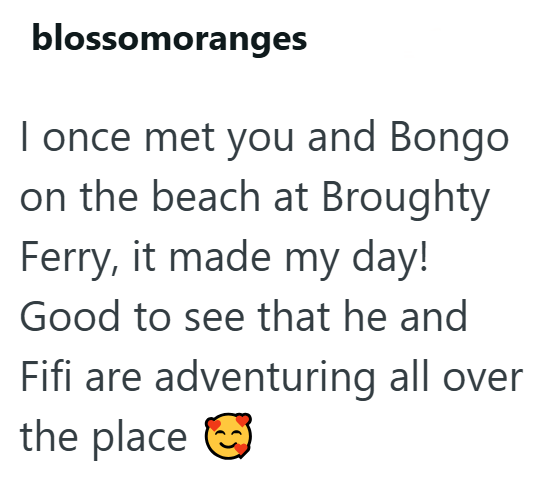 blossomoranges I once met you and Bongo on the beach at Broughty Ferry, it made my day! Good to see that he and Fifi are adventuring all over the place
