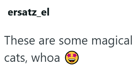 ersatz_el These are some magical cats, whoa