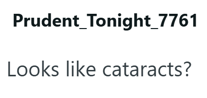 Prudent Tonight_7761 Looks like cataracts?