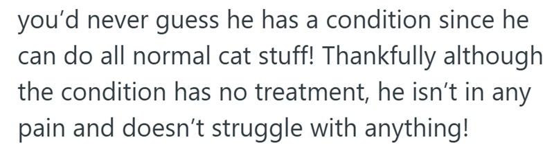 you'd never guess he has a condition since he can do all normal cat stuff! Thankfully although the condition has no treatment, he isn't in any pain and doesn't struggle with anything!