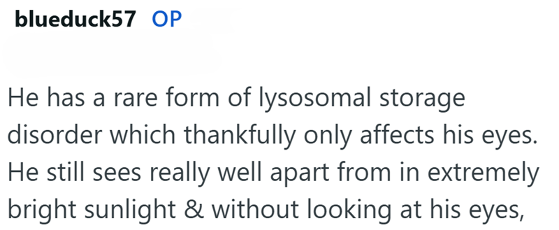 blueduck57 OP He has a rare form of lysosomal storage disorder which thankfully only affects his eyes. He still sees really well apart from in extremely bright sunlight & without looking at his eyes,