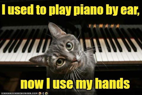 Cheezburger Image 10613167872