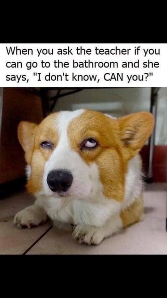 When you ask the teacher if you can go to the bathroom and she says, "I don't know, CAN you?"