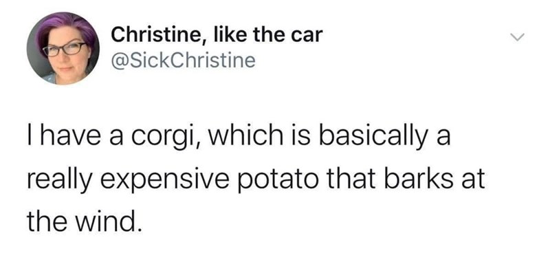 Christine, like the car @SickChristine I have a corgi, which is basically a really expensive potato that barks at the wind.