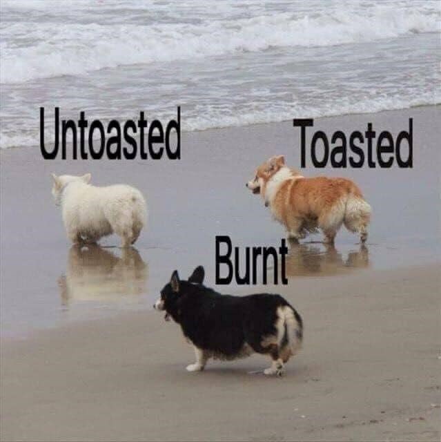 Untoasted Toasted Burnt