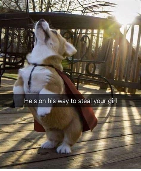 He's on his way to steal your girl