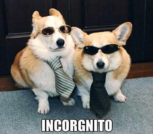 INCORGNITO