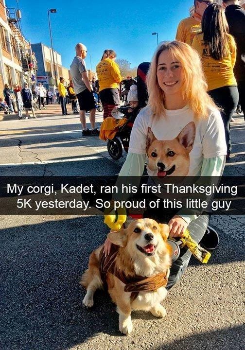 My corgi, Kadet, ran his first Thanksgiving 5K yesterday. So proud of this little guy