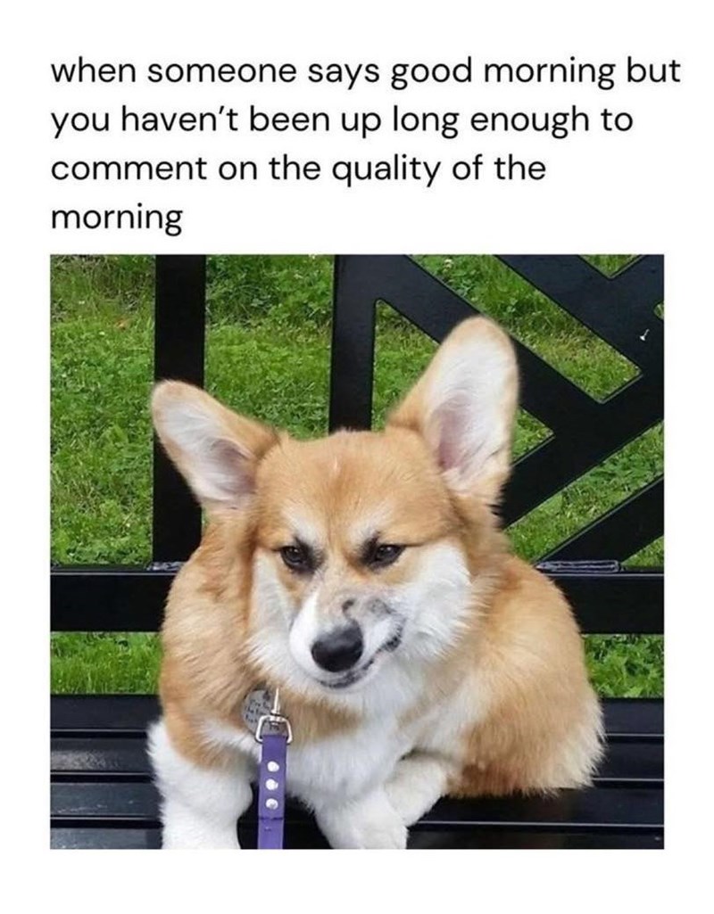when someone says good morning but you haven't been up long enough to comment on the quality of the morning