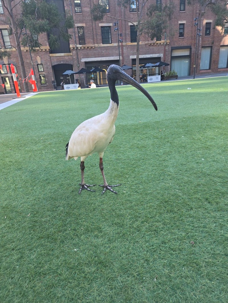 Cheezburger Image 10613180416