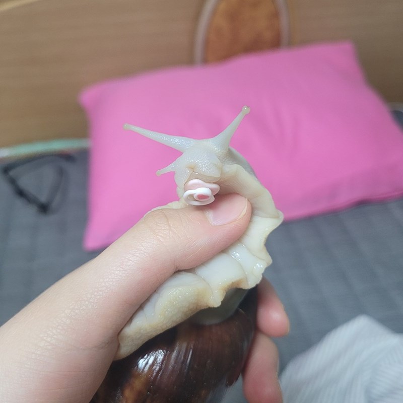 Cheezburger Image 10613182208