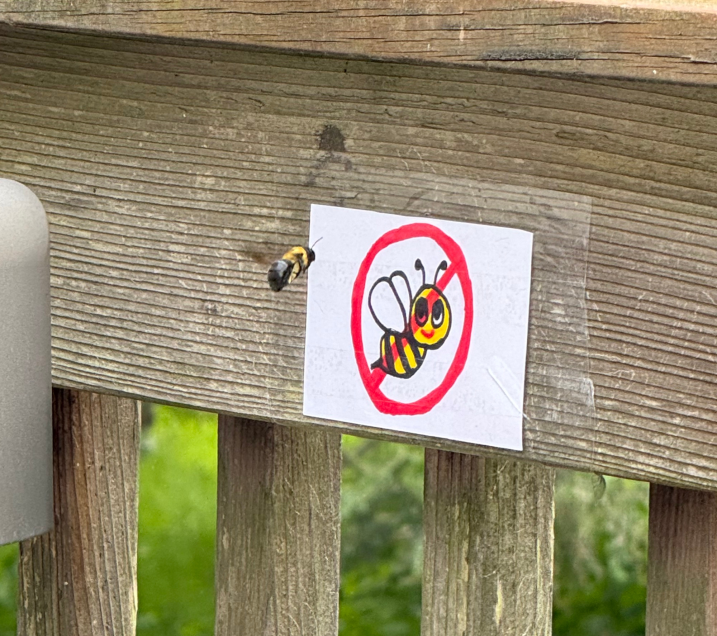 Cheezburger Image 10613184000