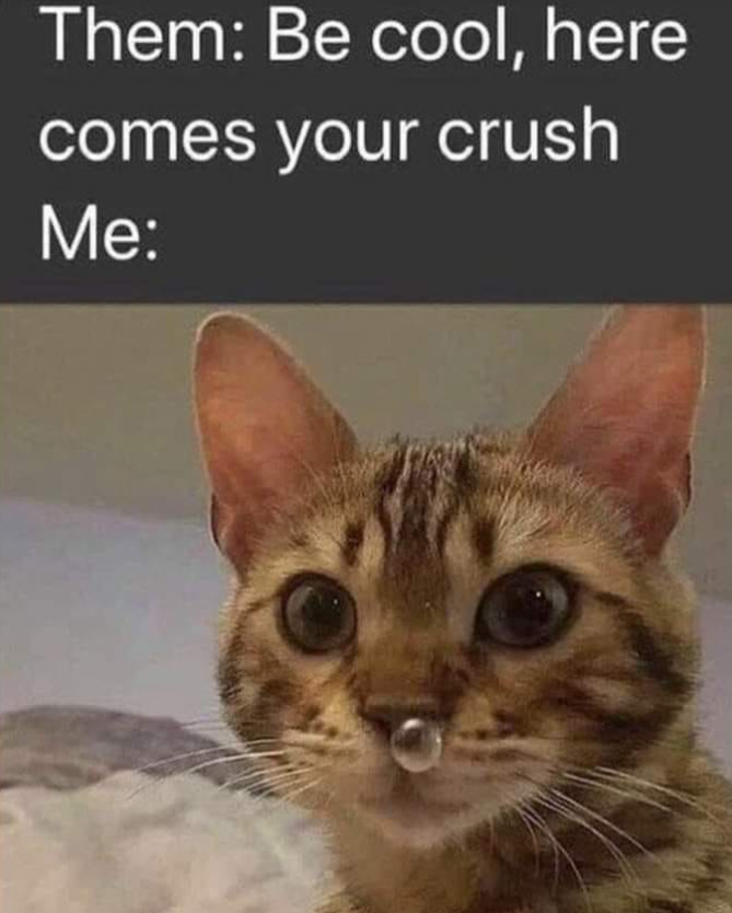 Them: Be cool, here comes your crush Me: