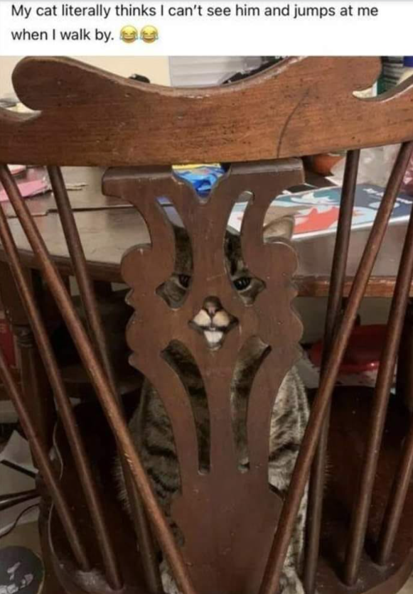 My cat literally thinks I can't see him and jumps at me when I walk by.