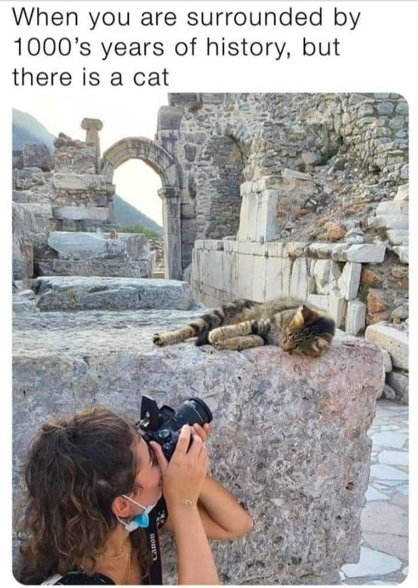 Canon When you are surrounded by 1000's years of history, but there is a cat