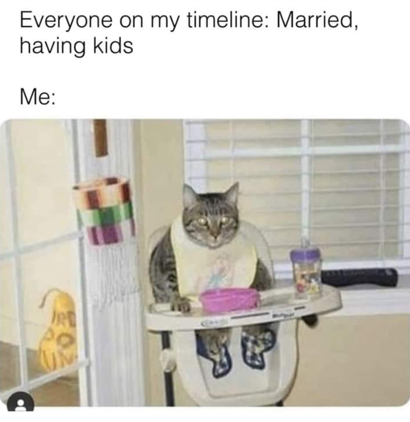 Everyone on my timeline: Married, having kids Me: 02