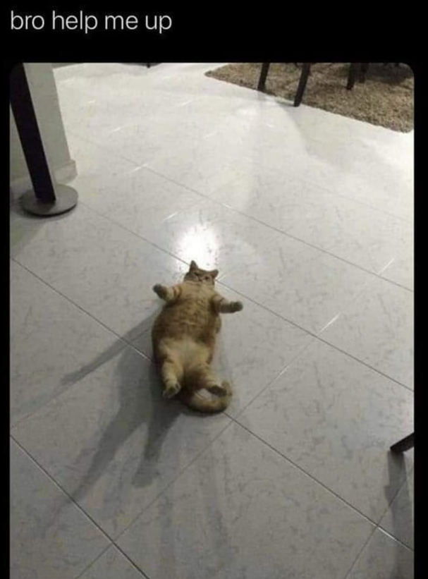 bro help me up