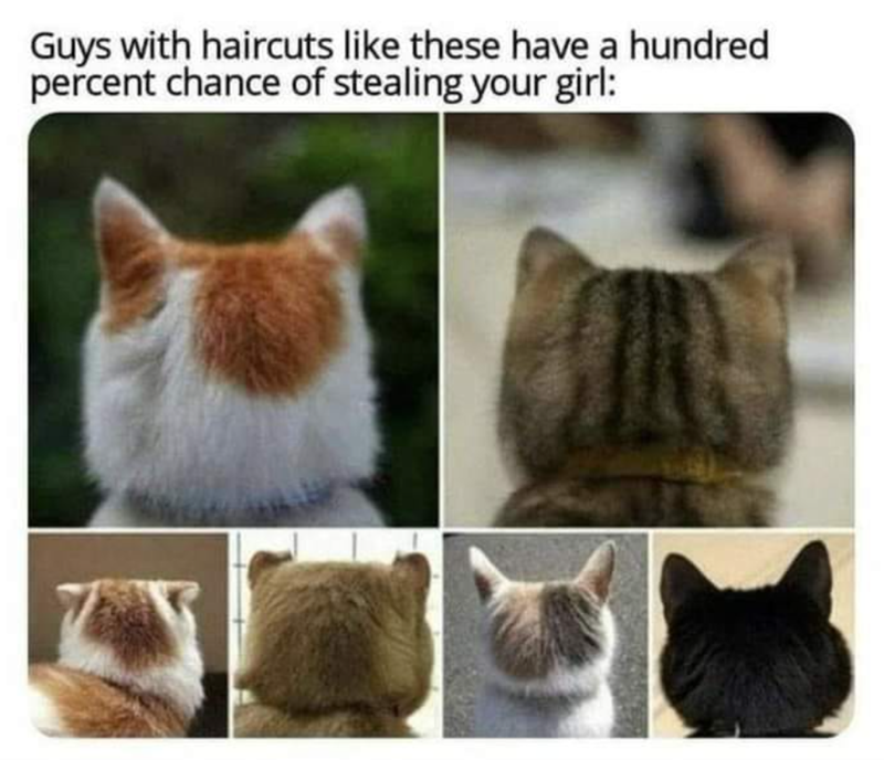 Guys with haircuts like these have a hundred percent chance of stealing your girl: