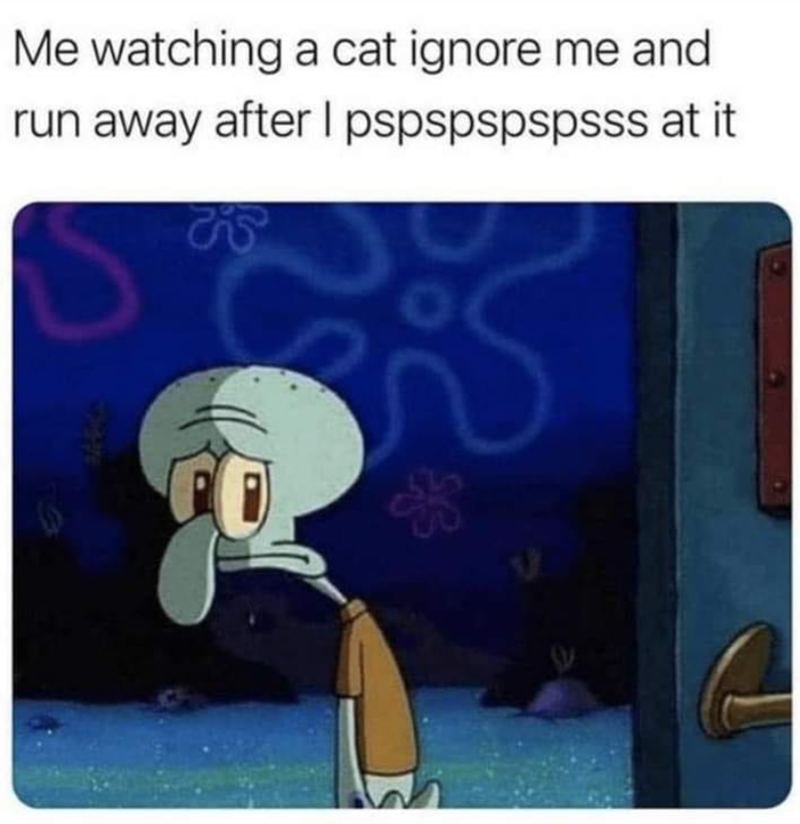 Me watching a cat ignore me and run away after I pspspspspsss at it S