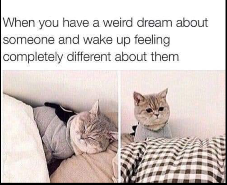 When you have a weird dream about someone and wake up feeling completely different about them