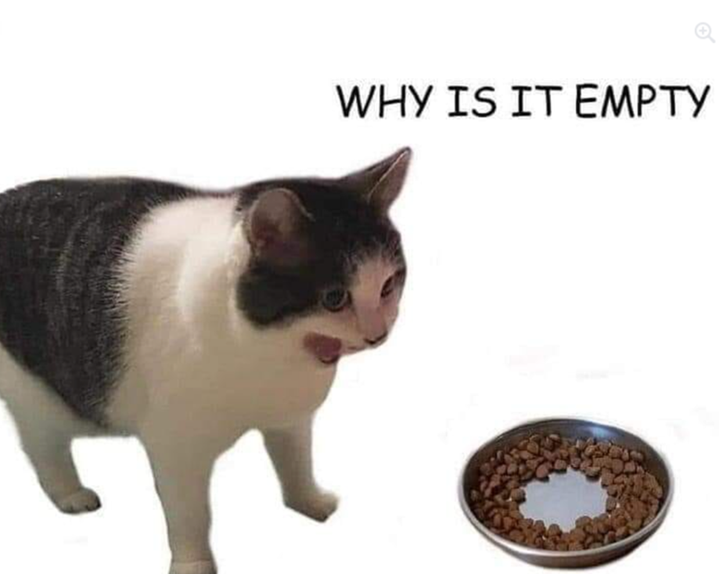 WHY IS IT EMPTY
