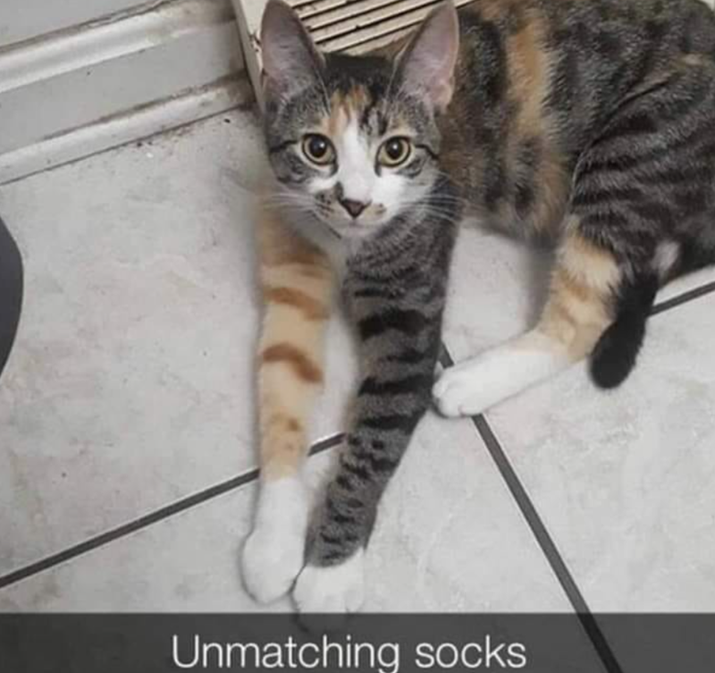 Unmatching socks