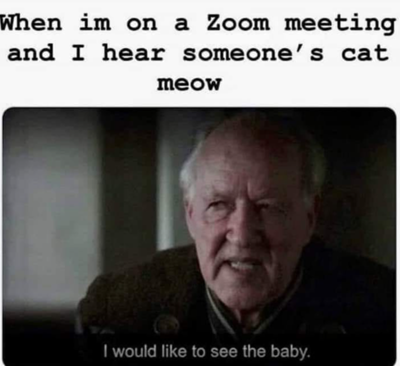 When im on a Zoom meeting and I hear someone's cat meow I would like to see the baby.