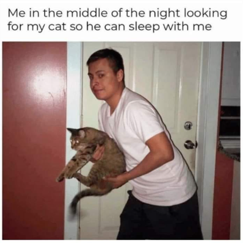 Me in the middle of the night looking. for my cat so he can sleep with me