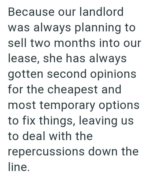 Because our landlord was always planning to sell two months into our lease, she has always gotten second opinions for the cheapest and most temporary options to fix things, leaving us to deal with the repercussions down the line.