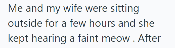 Me and my wife were sitting outside for a few hours and she kept hearing a faint meow. After