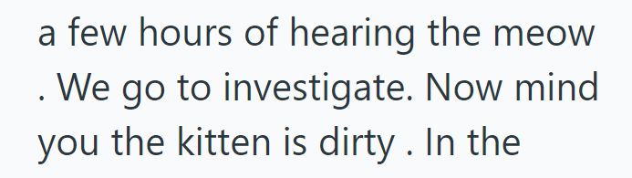 a few hours of hearing the meow . We go to investigate. Now mind you the kitten is dirty. In the