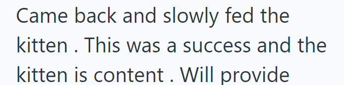 Came back and slowly fed the kitten. This was a success and the kitten is content. Will provide