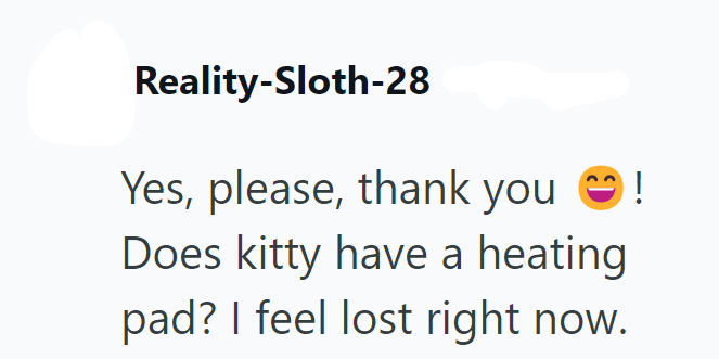 Reality-Sloth-28 Yes, please, thank you ! Does kitty have a heating pad? I feel lost right now.