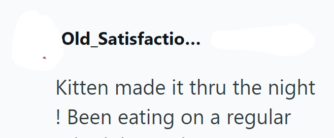 Old Satisfactio... Kitten made it thru the night ! Been eating on a regular